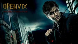 16988761.webp