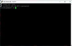 telnet screenshot.webp