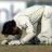 cricketbattony